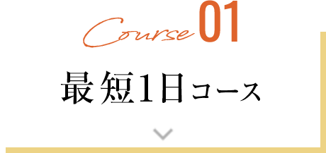 最短1日コース