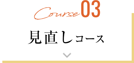 見直しコース